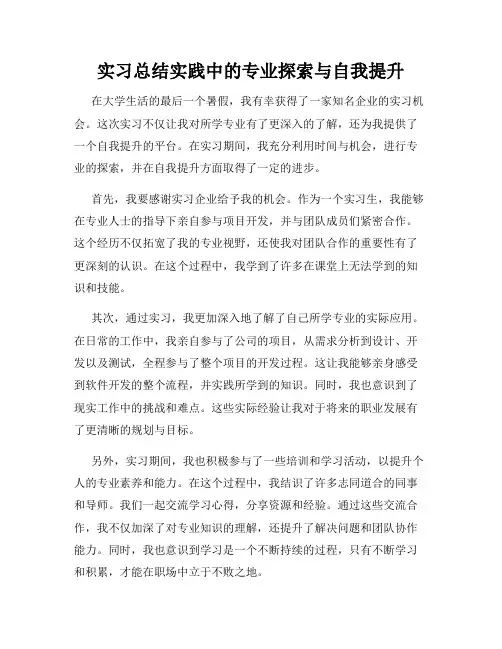 实习总结实践中的专业探索与自我提升