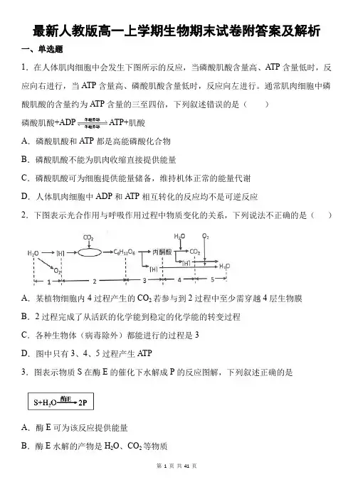 最新人教版高一上学期生物期末试卷附答案及解析