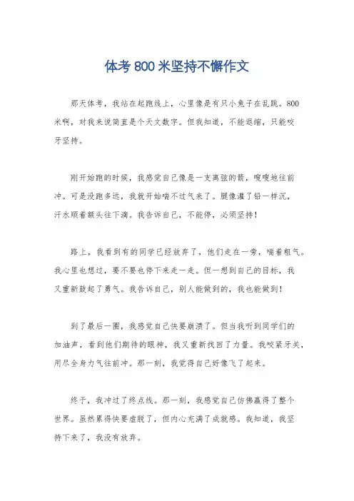 体考800米坚持不懈作文