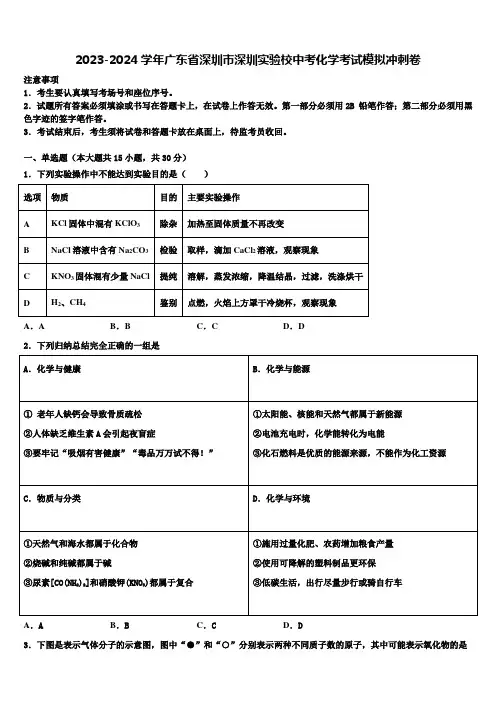 2023-2024学年广东省深圳市深圳实验校中考化学考试模拟冲刺卷含解析