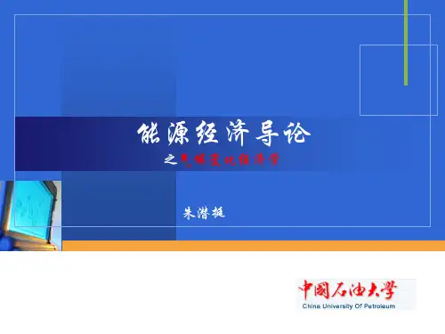 能源经济导论-中国石油大学北京