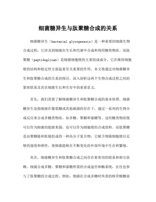 细菌糖异生与肽聚糖合成的关系