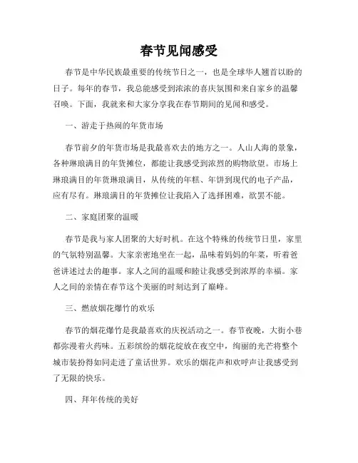春节见闻感受
