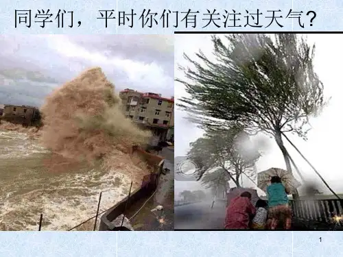 天气和气温新课标PPT课件