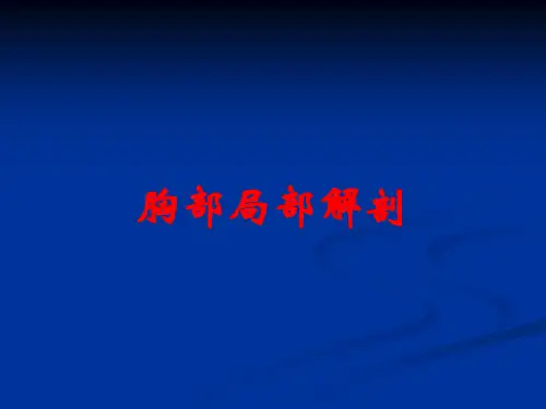 胸部局部解剖