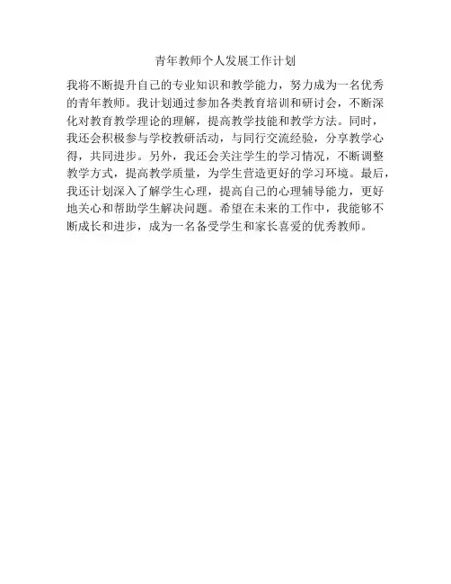 青年教师个人发展工作计划