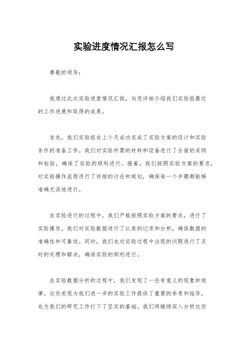 实验进度情况汇报怎么写