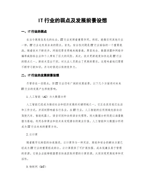 IT行业的弱点及发展前景设想