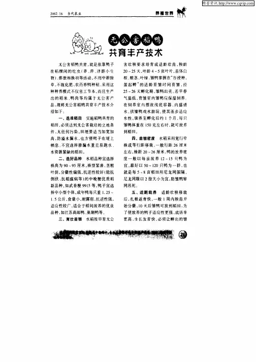 无公害稻鸭共育丰产技术