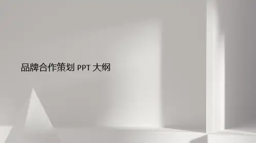 品牌合作策划PPT大纲