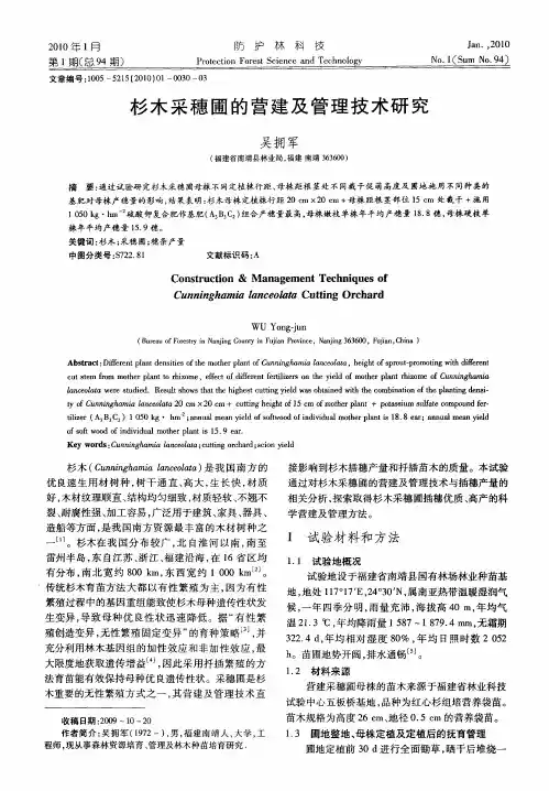 杉木采穗圃的营建及管理技术研究