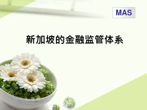 新加坡的金融监管体系