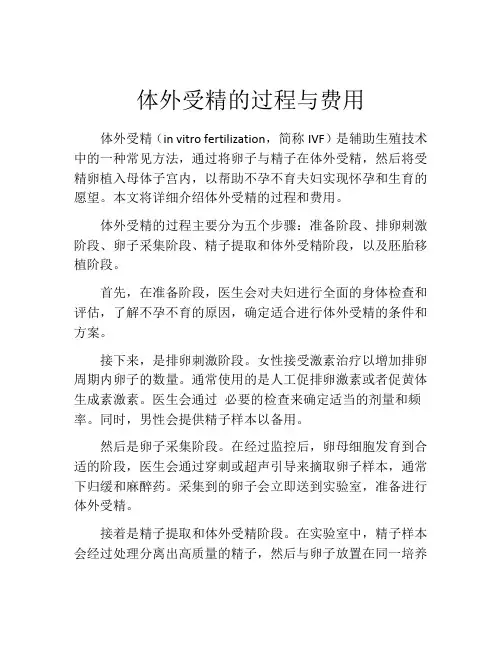 体外受精的过程与费用
