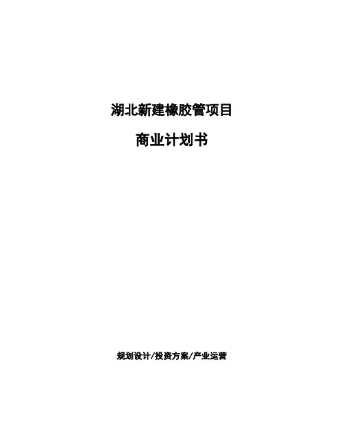 湖北新建橡胶管项目商业计划书