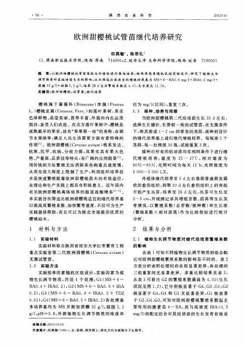 欧洲甜樱桃试管苗继代培养研究