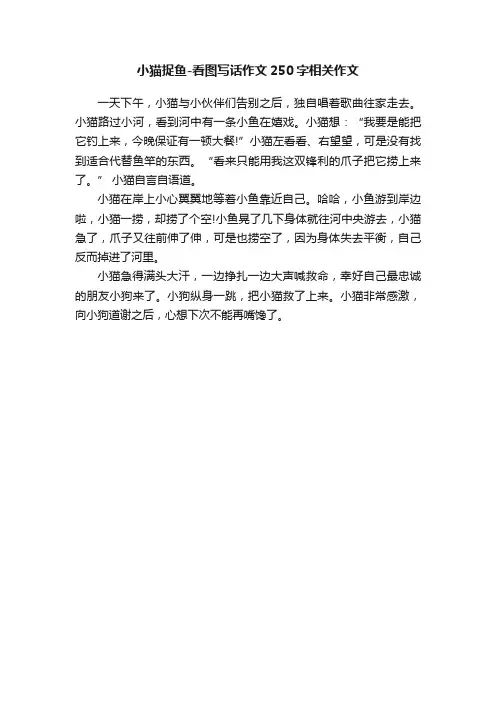 小猫捉鱼-看图写话作文250字相关作文
