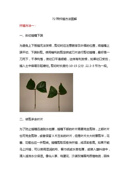 72种扦插方法图解