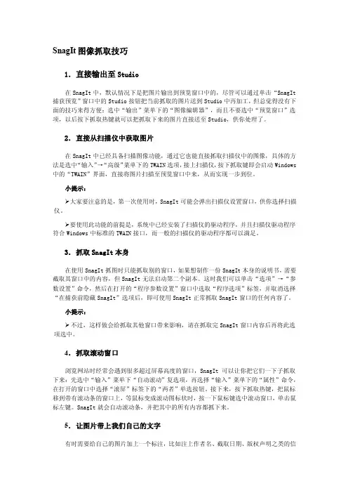 【2017年整理】SnagIt图像抓取技巧