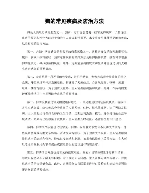 狗的常见疾病及防治方法