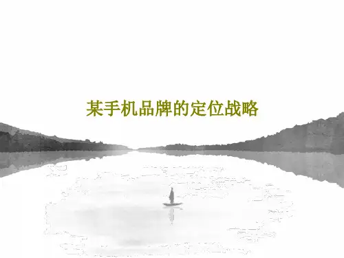 某手机品牌的定位战略22页PPT