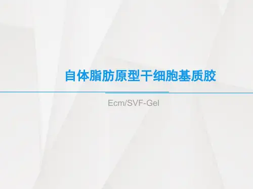 脂肪原型细胞基质胶(ecm、svf-gel)