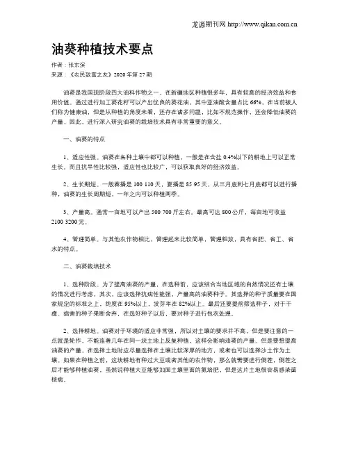 油葵种植技术要点