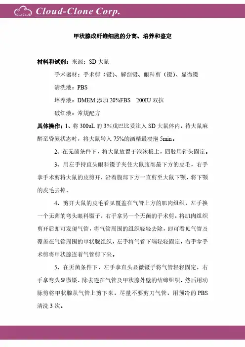 甲状腺成纤维细胞原代培养报告