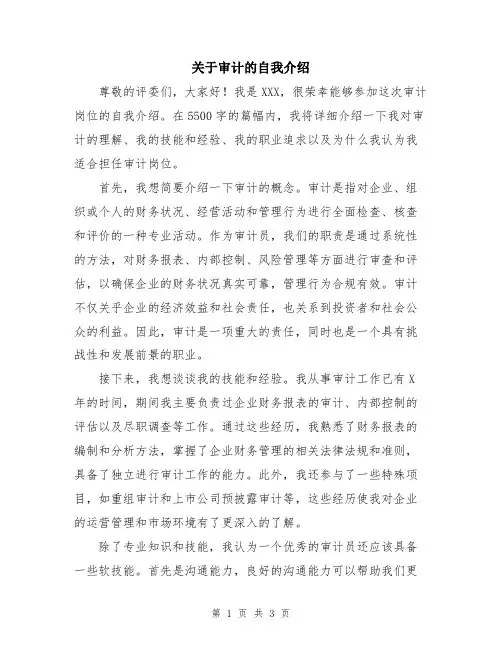 关于审计的自我介绍