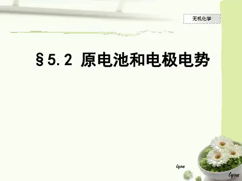 原电池和电极电势