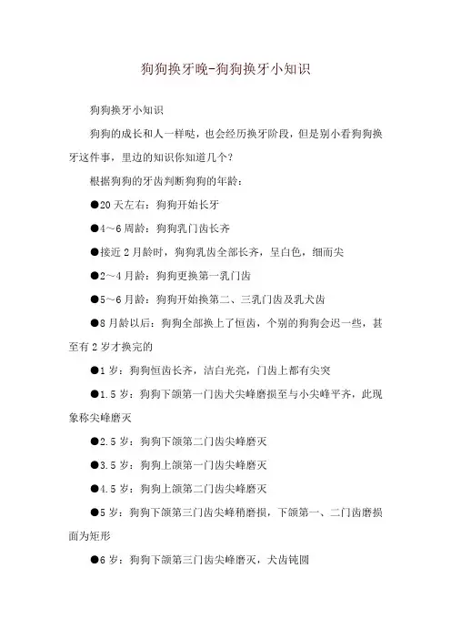 狗狗换牙晚-狗狗换牙小知识