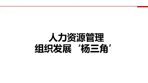 人力资源管理-组织发展杨三角