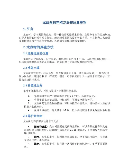 龙血树的养殖方法和注意事项