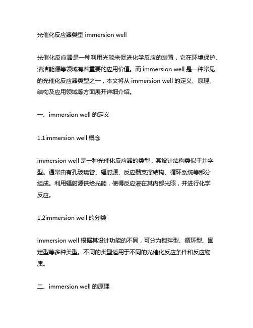 光催化反应器类型immersion well