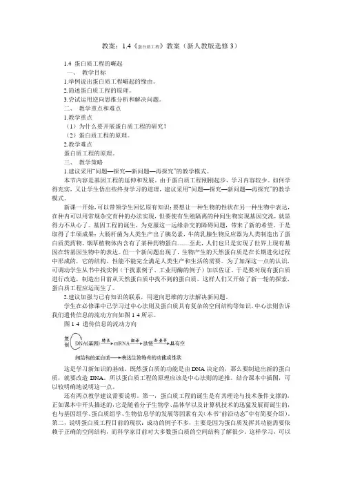 蛋白质工程教案