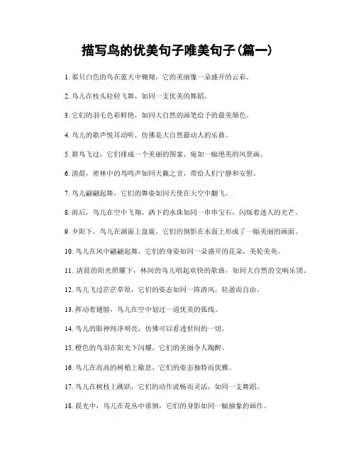 描写鸟的优美句子唯美句子(精选2篇)