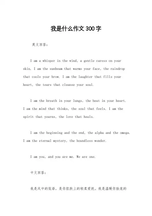 我是什么作文300字