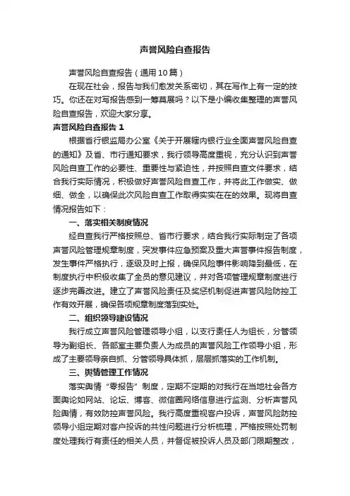 声誉风险自查报告