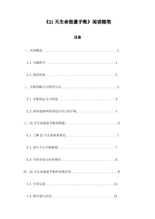 《21天生命能量手账》记录