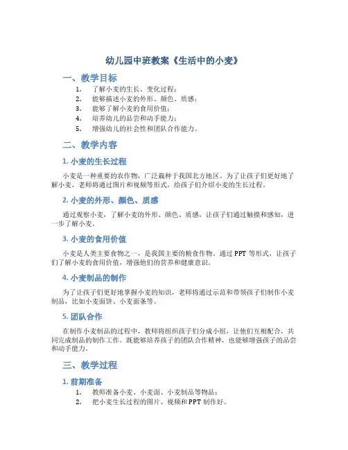 幼儿园中班教案《生活中的小麦》-幼儿园社会教案