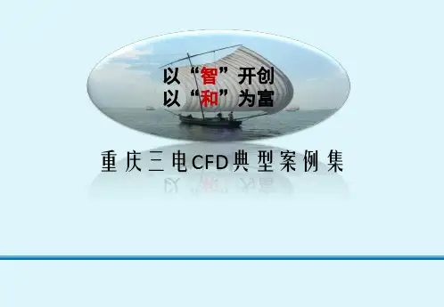 《CFD典型案例》PPT课件