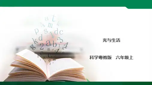4.32《光与生活》课件