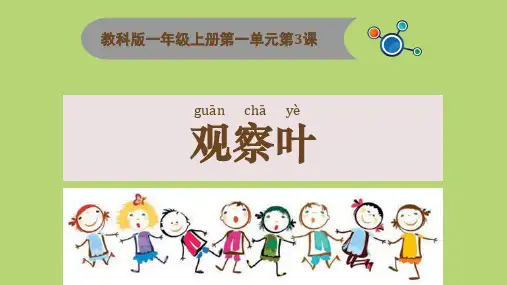 一年级上册科学课件：1-3观察叶：教科版(2017)