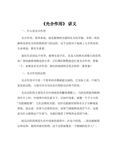 《光合作用》 讲义