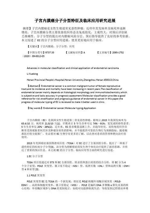 子宫内膜癌分子分型特征及临床应用研究进展