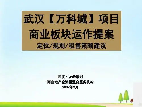 武汉某地产项目商业板块运作提案(ppt 73页)