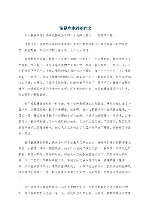 简易净水器的作文