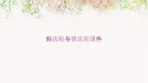 斜齿轮与锥齿轮课件