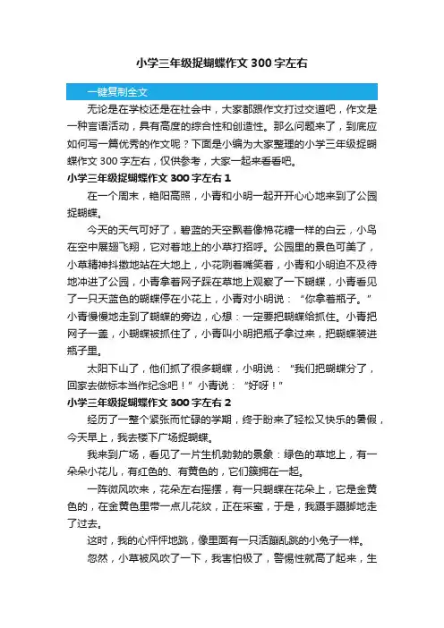 小学三年级捉蝴蝶作文300字左右