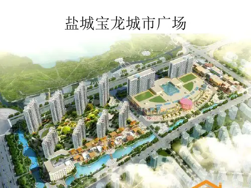 盐城宝龙城市广场 项目分析