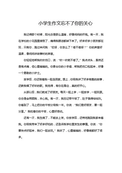 小学生作文忘不了你的关心